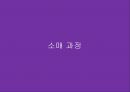 화훼산업과 유통과정 20페이지