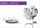 화훼산업과 유통과정 21페이지