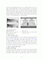 사운드 마스킹의 원리와 응용사례 3페이지
