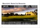 호텔의 브랜드 포지셔닝 (ACCOR / MARRIOTT /STARWOOD).ppt 24페이지