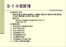 회계의순환과정 11페이지