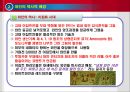 Wine의 이해 6페이지