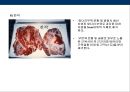 축산물 머천다이징의 이해 49페이지