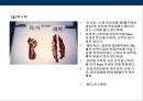 축산물 머천다이징의 이해 54페이지