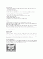 스포츠 선수의 요추간판 탈출증(Herniated Lumbar Disk) 해부학 및 손상,치료 ,재활 3페이지