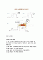 스포츠 선수의 전방전위증에 좋은 운동 및 금기 사항 5페이지