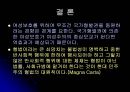 [법학] 형사법의 성편향 36페이지