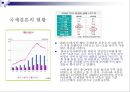 국제결혼 - 국제결혼의 문제점과 극복방안 5페이지