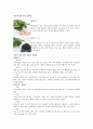 생활과원예 - 실내 정원 꾸미기 16페이지