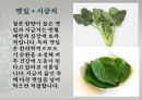 음식의 궁합에 대해서 16페이지
