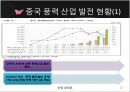 중국의 풍력 발전 산업 4페이지