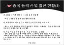 중국의 풍력 발전 산업 6페이지
