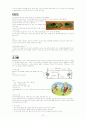 여가론 - 뉴 스포츠와 이색 스포츠에 관해서 9페이지