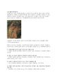 태풍에 대한 여러가지 고찰 15페이지