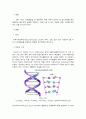[의학] DNA, RNA, 단백질합성에 대해서 2페이지