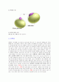 6대 영양소에 관해서 4페이지