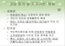 [정치,경제] 미국의 정당.ppt 26페이지