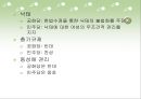 [정치,경제] 미국의 정당.ppt 27페이지