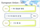 국제통상 - 경제통합과 통상기구.ppt 10페이지