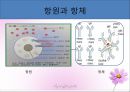병리학 - 면역계 질환 3페이지
