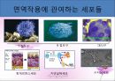 병리학 - 면역계 질환 7페이지