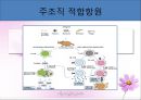 병리학 - 면역계 질환 10페이지