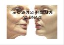 [인체노화] 노화과정의 생물시계 및 DNA설 1페이지
