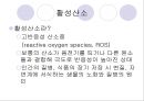 [인체노화] 노화과정의 생물시계 및 DNA설 6페이지