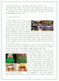 마텔 Mattel 중국시장진출 마케팅실패 사례분석및 해결방안 제안 및 나의의견 17페이지