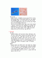 법정 전염병에 대한 연구 4페이지