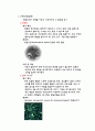 법정 전염병에 대한 연구 7페이지