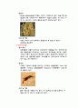 법정 전염병에 대한 연구 10페이지