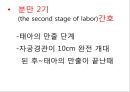 분만간호 4페이지