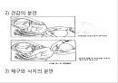 분만간호 18페이지