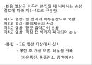 분만간호 22페이지
