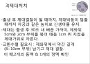분만간호 31페이지