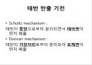 분만간호 38페이지