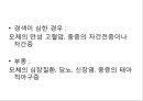 분만간호 45페이지