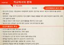 학교사회복지와 비행청소년 정의 13페이지
