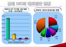후기 디지털 시대의 글로벌 전략 - 홍진 HJC.PPT자료 13페이지