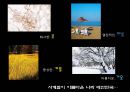 대한민국,한국,자연,사계절.PPT자료 1페이지