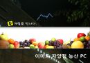 대한민국,한국,자연,사계절.PPT자료 4페이지