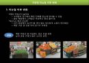 대한민국,한국,자연,사계절.PPT자료 15페이지
