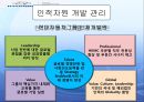 Global 인적자원관리 25페이지