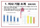 미샤브랜드,미샤마케팅,미사전략,마케팅,브랜드,브랜드마케팅,기업,서비스마케팅,글로벌,경영,시장,사례,swot,stp,4p 6페이지