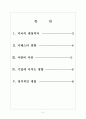[재정적자]미국의 재정적자 문제와 해결방안 보고서 2페이지