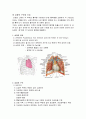 울혈성 심부전(CHF: chronic heart failure) 환자의 진단과 치료 2페이지