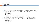 북한학 (크로싱 영화속 북한사회 배경과 현재 북한사회 배경 비교).PPT자료 6페이지