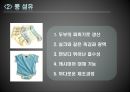 친환경 섬유의 종류와 활용.PPT자료 4페이지