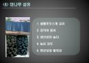 친환경 섬유의 종류와 활용.PPT자료 6페이지